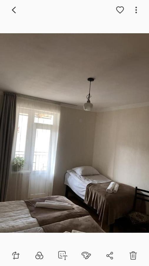 Ekaterine Guest House Kazbegi Kültér fotó